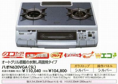 ﾊｵN620VGA（SL）シルバー