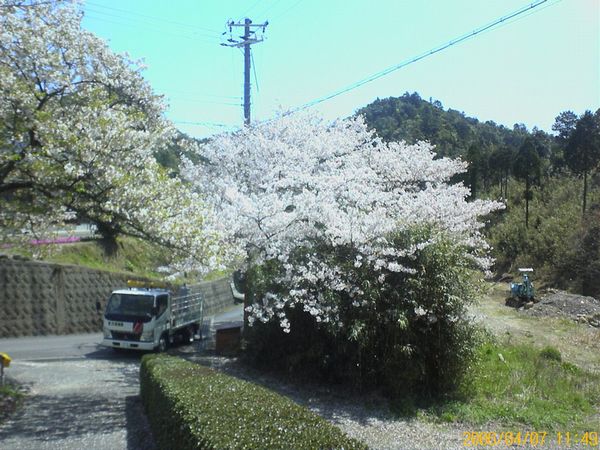 イイ出会い