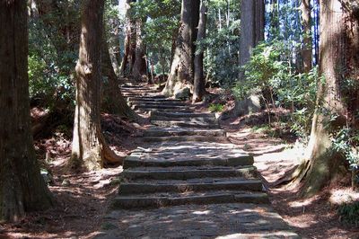 世界遺産 熊野古道 石畳