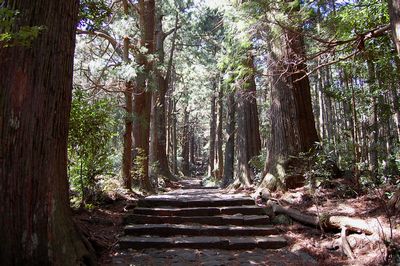 世界遺産 熊野古道 ヤタガラス