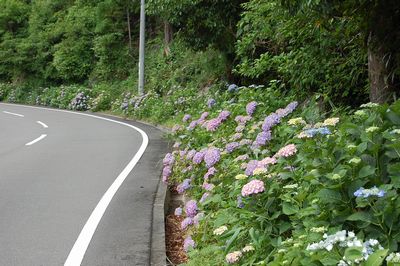 梅雨入りだけど光が...