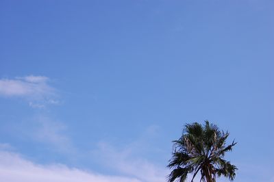 勝浦八幡神社例祭