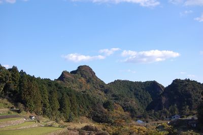 那智勝浦町高津気