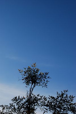 ｢浄水器｣ヤフー検索8位獲得 ②