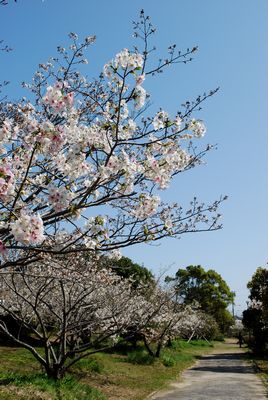 東京・静岡・愛知へ