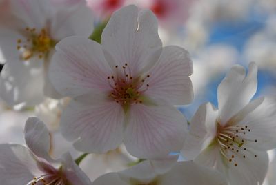 4月26日挙式　6月14日披露宴