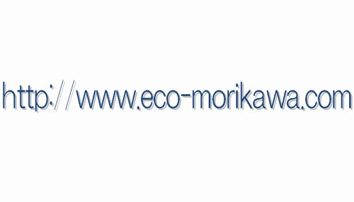 https://www.eco-morikawa.com/