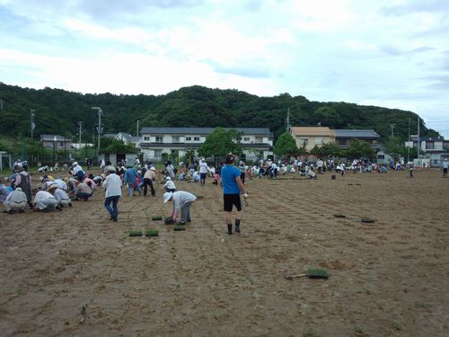 宇久井小学校芝生植え