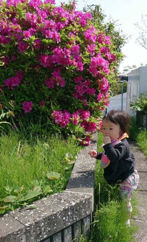 子供、犬、猫は写真に強い