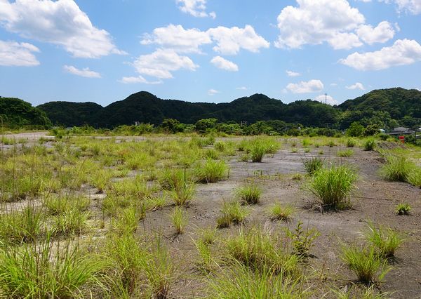 産業用太陽光発電パネルの設置を検討