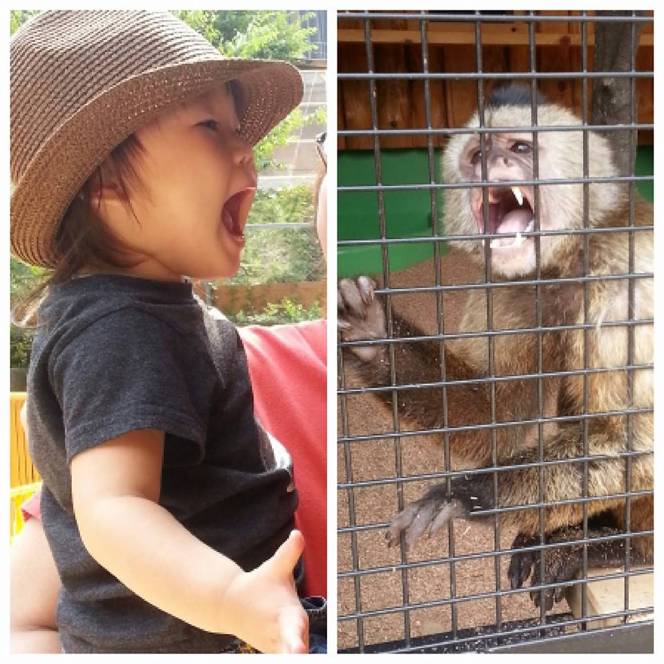 大内山動物園