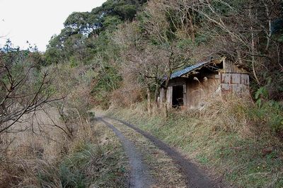 廃屋