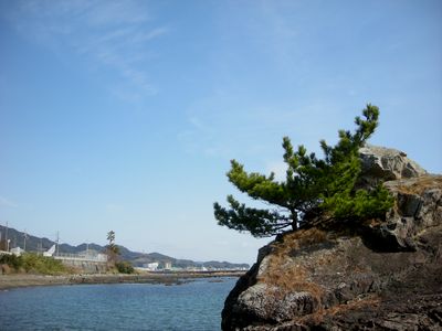 那智勝浦町宇久井