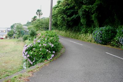 那智勝浦町宇久井