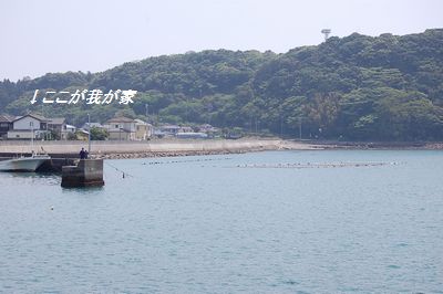 宇久井港湾