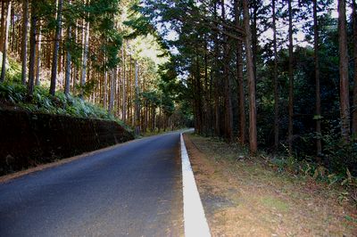 那智勝浦町高津気