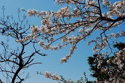 那智勝浦町宇久井