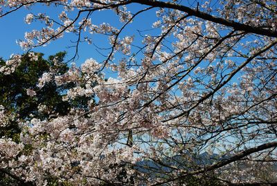 那智勝浦町宇久井