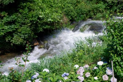 那智勝浦町高津気