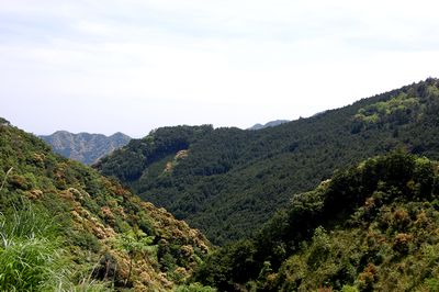 那智勝浦町色川