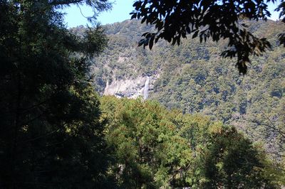 世界遺産 熊野古道から那智の大滝