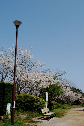 新宮市くろしお公園