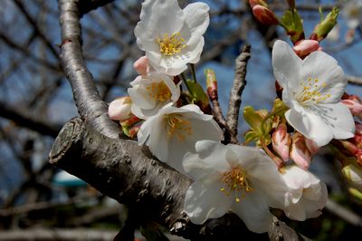 くろしお公園