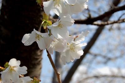 くろしお公園