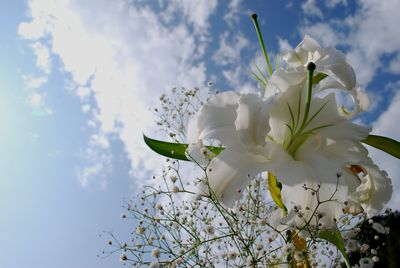 株式会社モリカワ構内