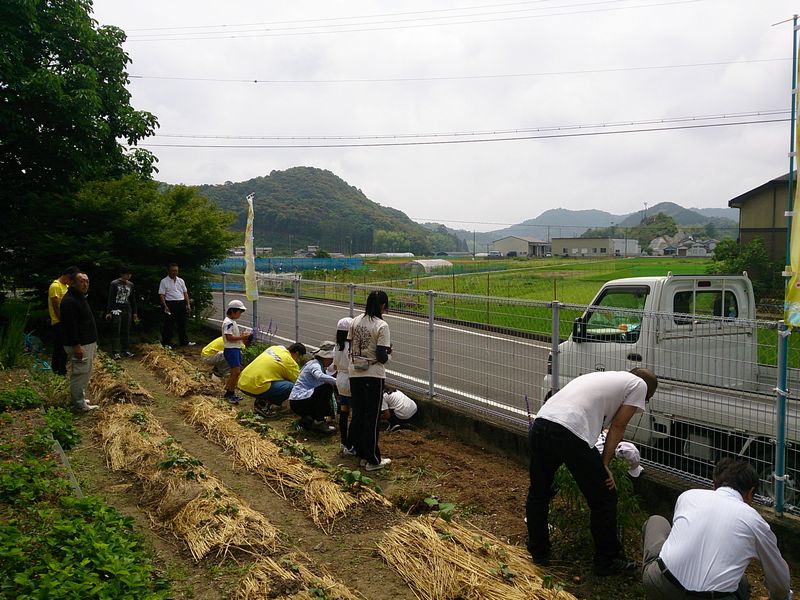 ひまわりの種をまいて笑顔を咲かせよう