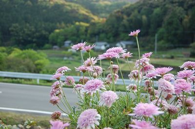 高津気の風景