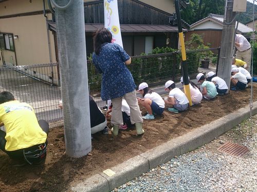 ひまわりの咲く街プロジェクト