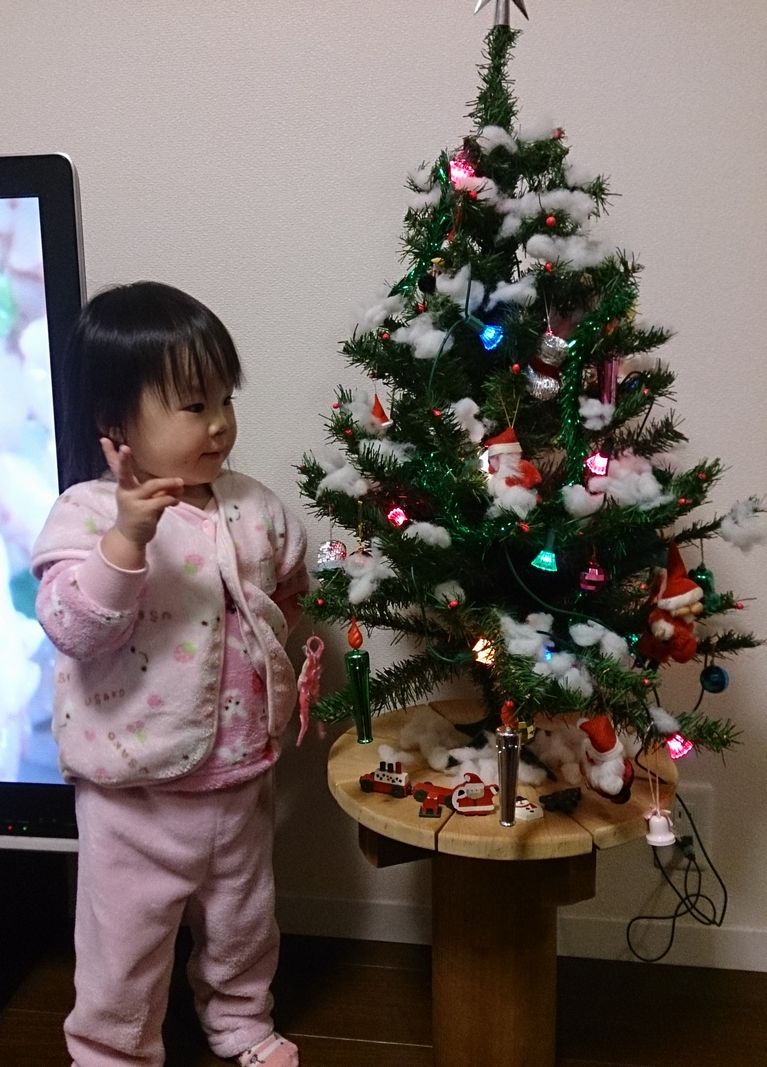 2014年竜一邸クリスマスツリー