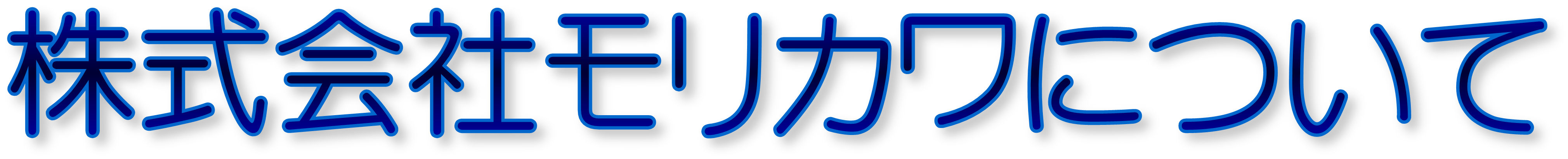 株式会社モリカワについて