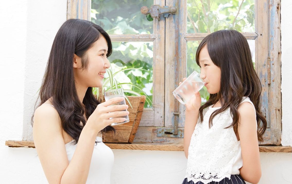 ゼンケン浄水器交換カートリッジ